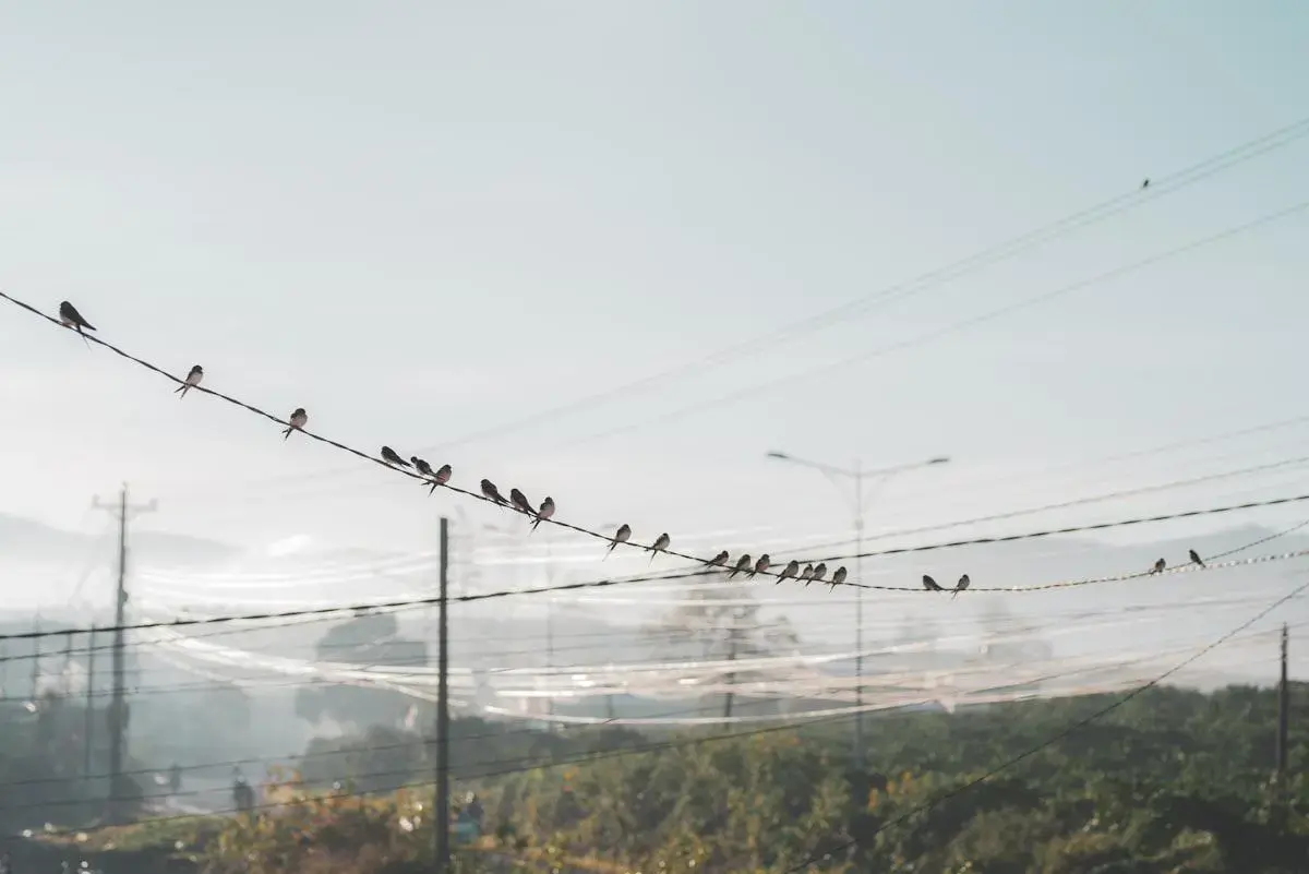 Equilibrar el bienestar mental en la era de las redes sociales