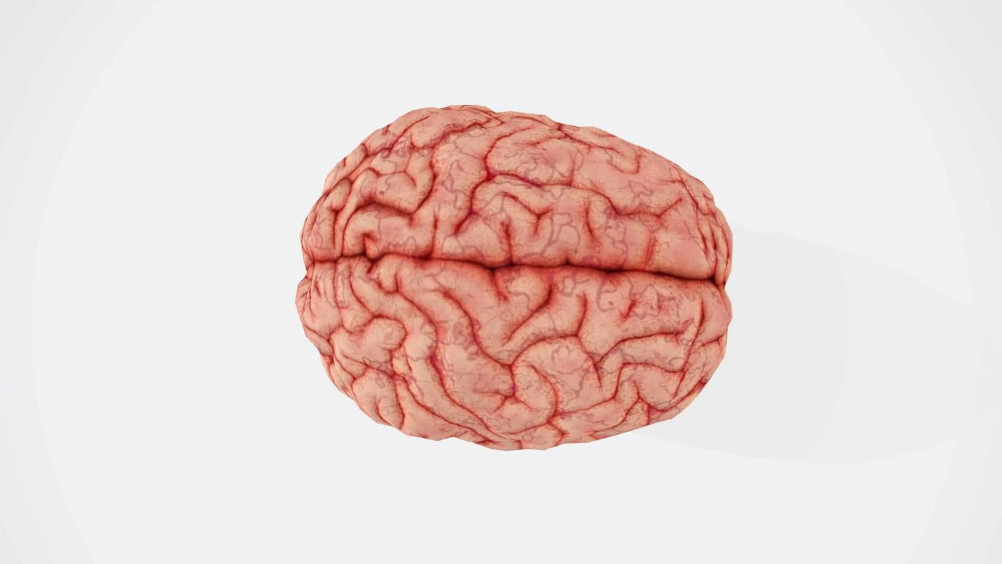 Brain Injury Awareness Month: How to Support Survivors