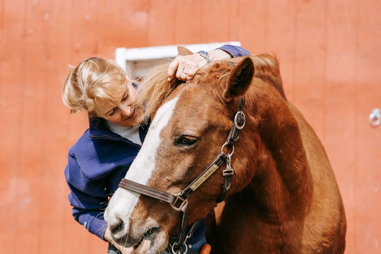 Investigación sobre la terapia equina: lo que dice la ciencia sobre la curación
