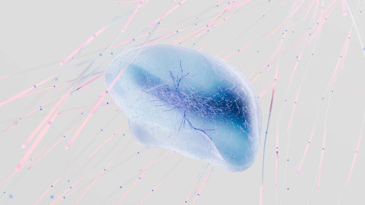 Healing a Dysregulated Nervous System: Evidence-Based Practices That Work
