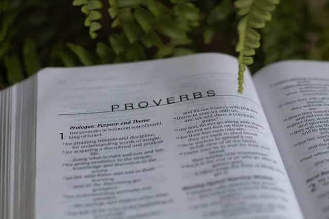 Sagesse biblique : Ancient Insights for Modern Mental Health