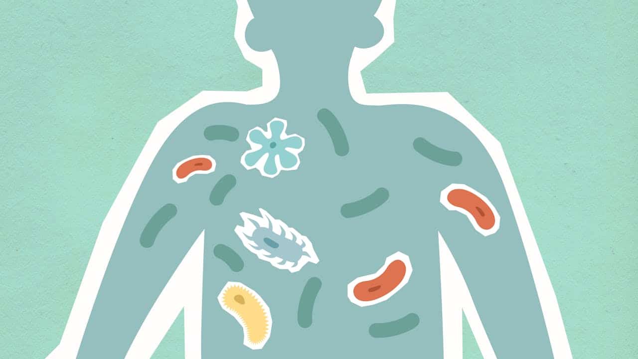 Intervenciones sobre la microbiota intestinal: ¿qué aportan realmente los probióticos a la salud mental?