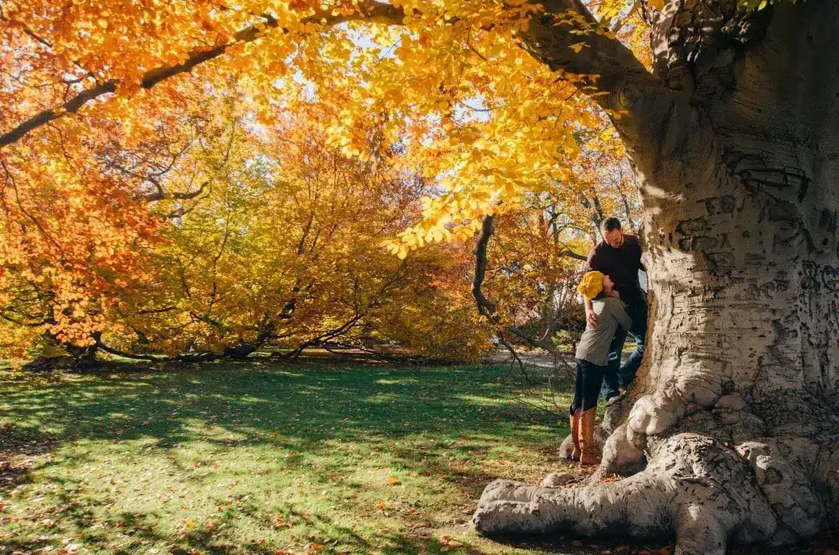 Navigating the Therapy Journey: What Progress Looks Like