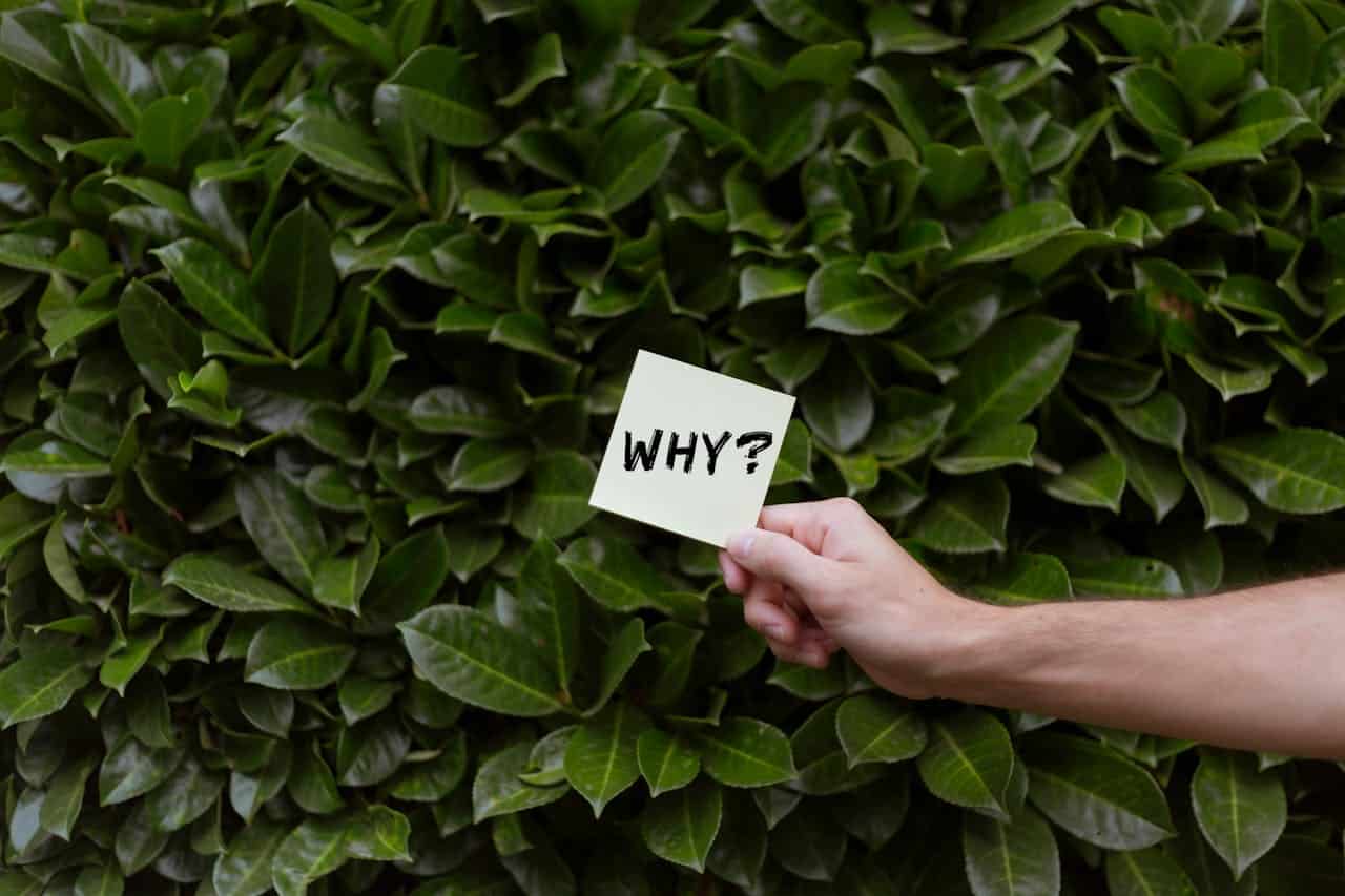 Purpose and Meaning: Why Your Brain Needs Both