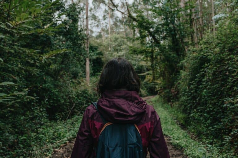 Recherches sur le bain de forêt : ce que la science révèle réellement