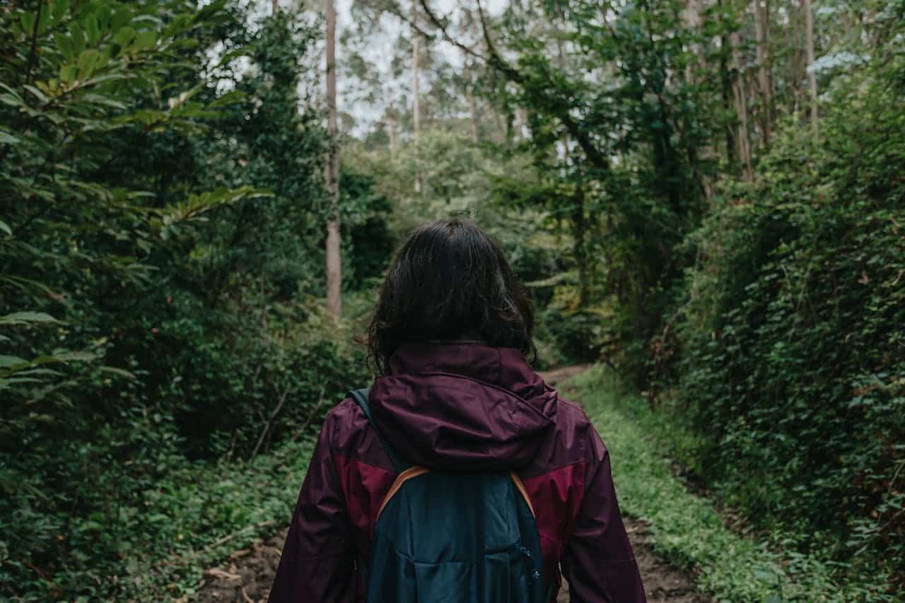 Recherches sur le bain de forêt : ce que la science révèle réellement