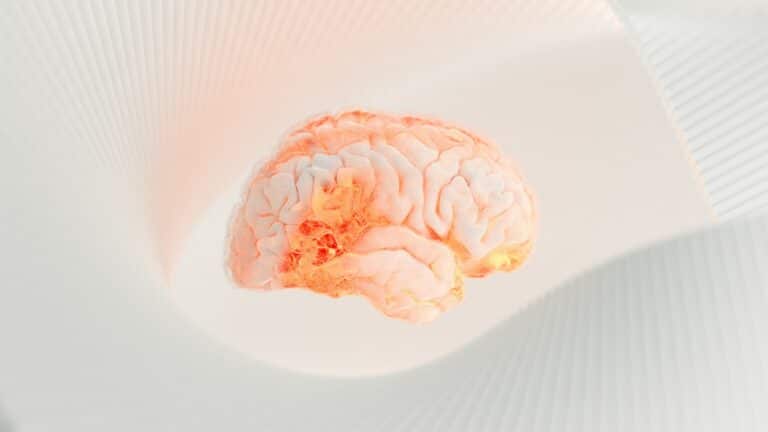What Your Brain Chemistry Actually Reveals About You