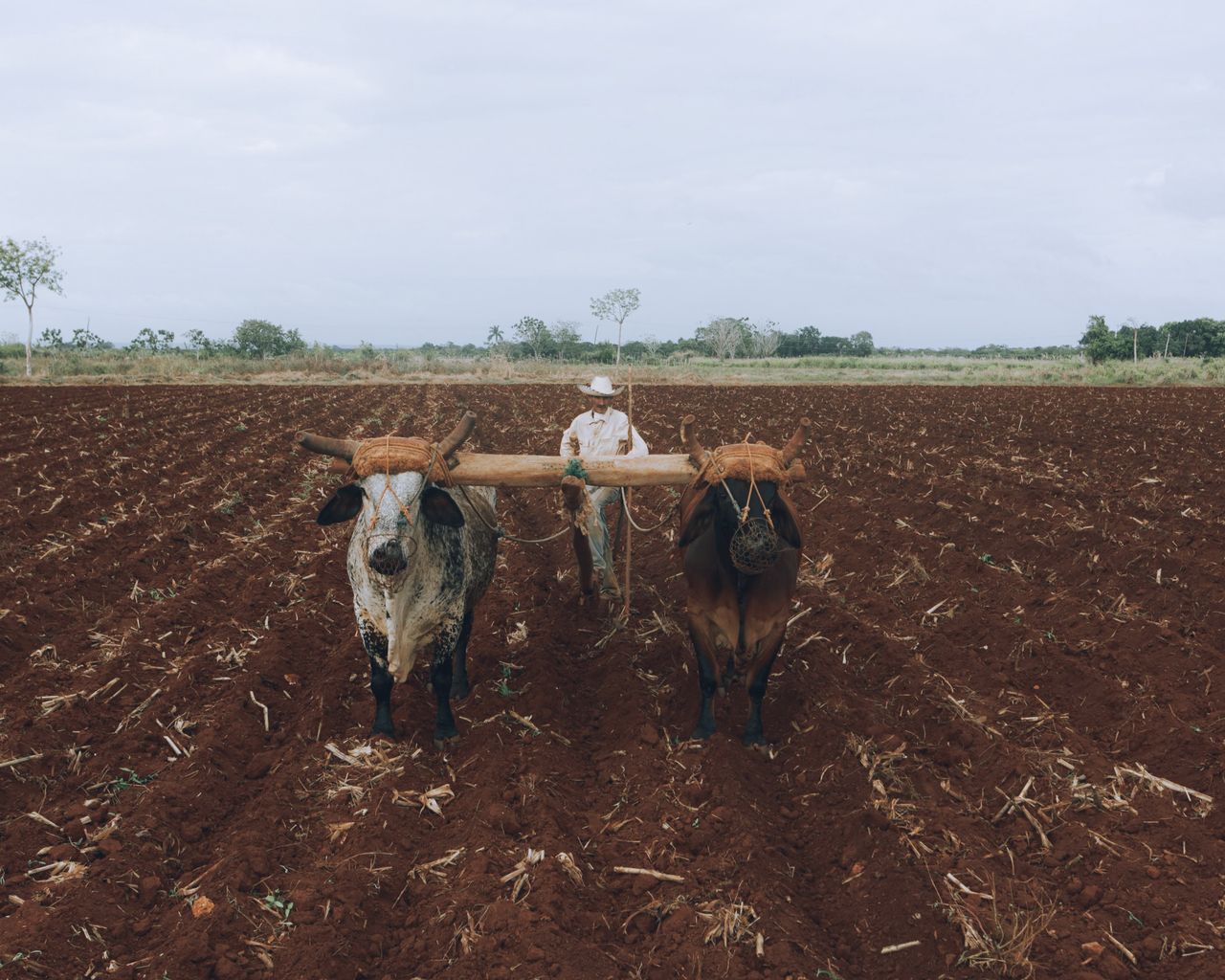 The Silent Crisis Farmers Carry Alone on the Land