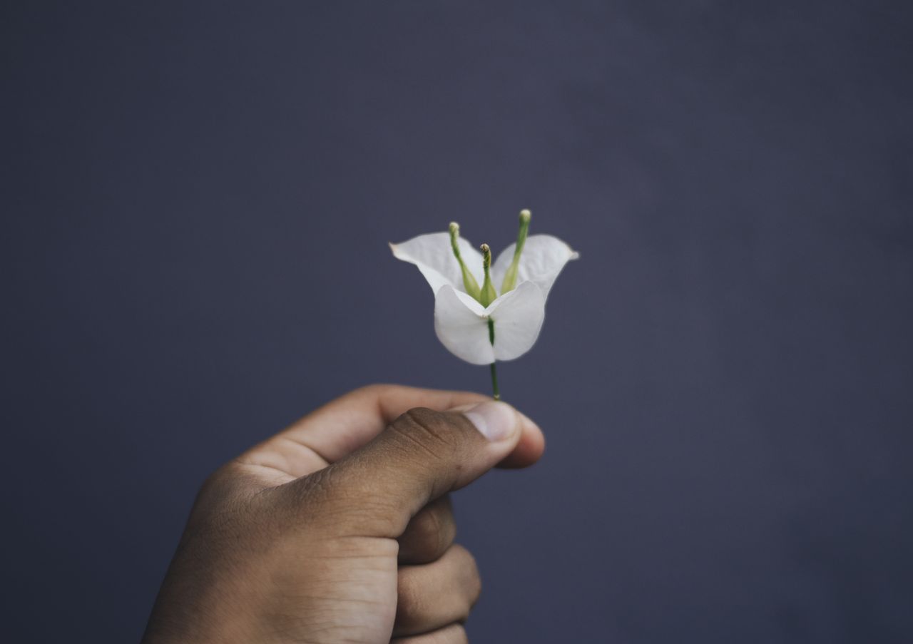 What Purity Culture Actually Does to Your Marriage