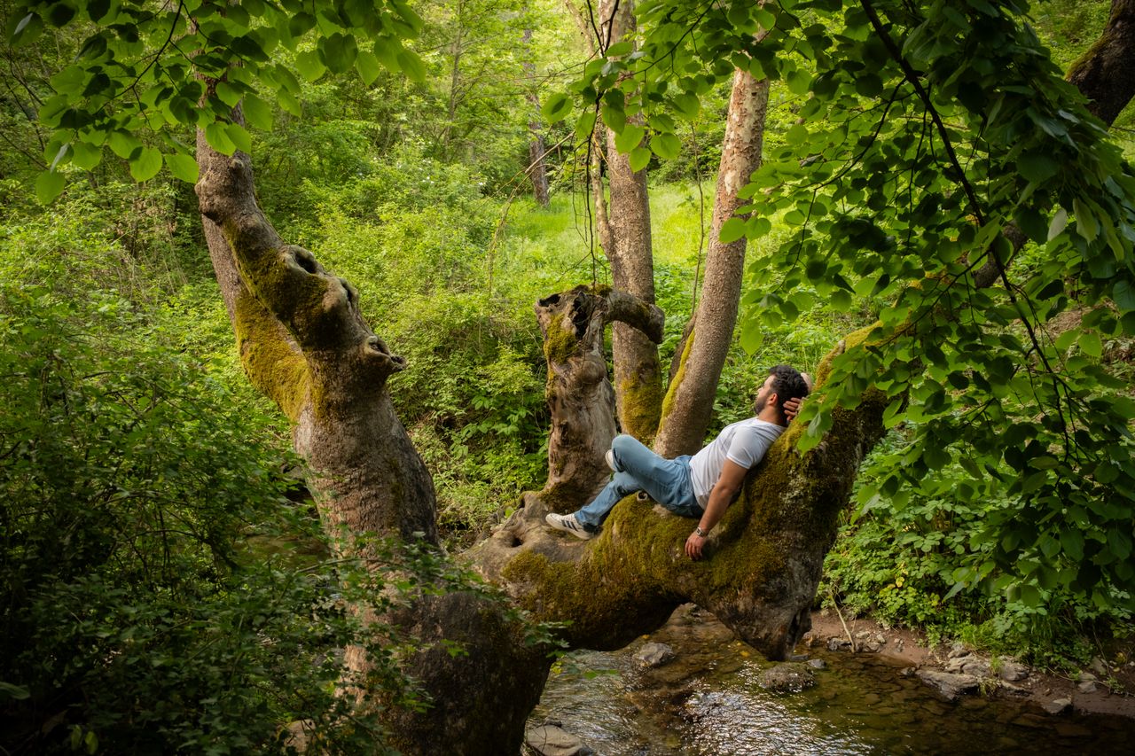 What Wilderness Therapy Actually Does and Does Not Do