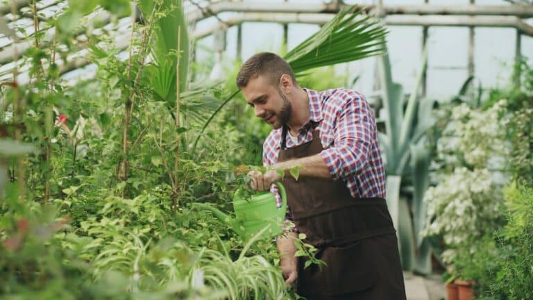 Why Biophilic Design Makes Rooms Finally Feel Okay