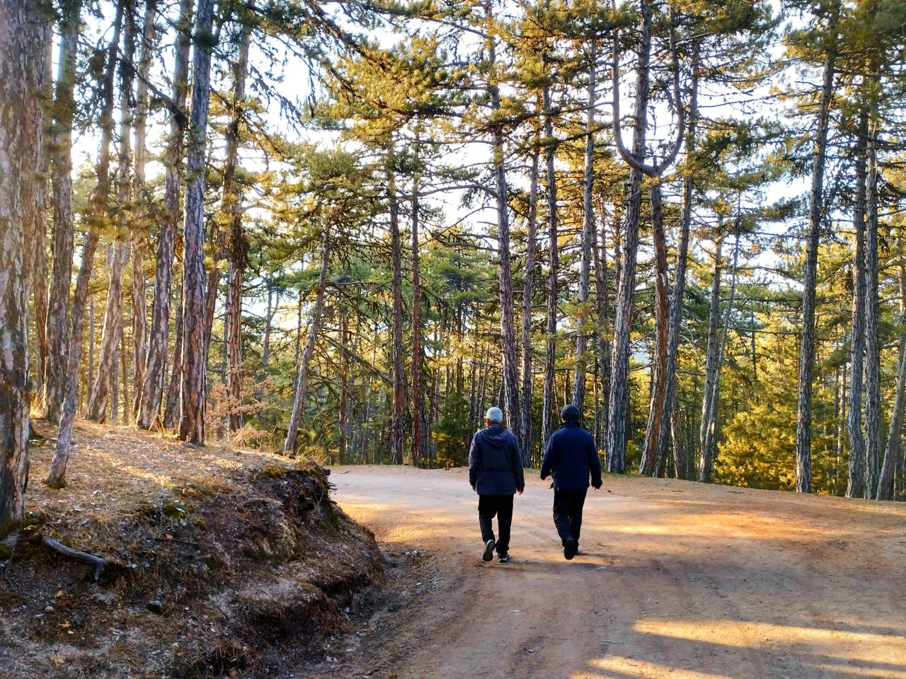 Why Walk and Talk Therapy Makes It Easier to Open Up