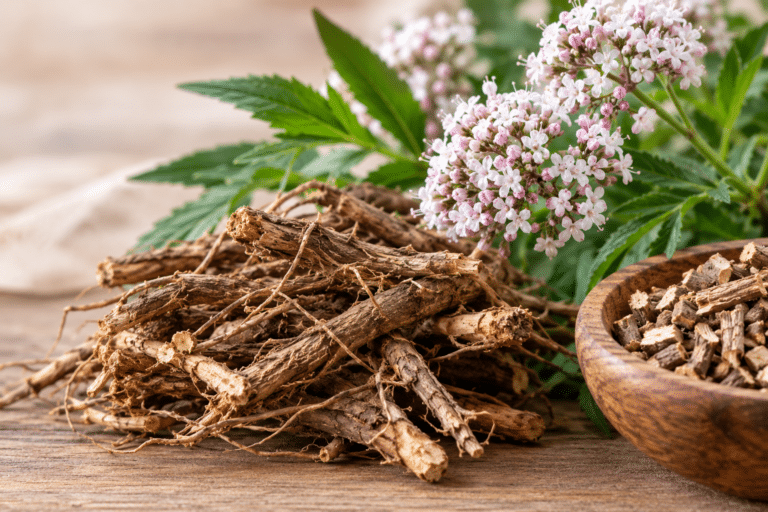 What Valerian Root Does for Sleep and Anxiety